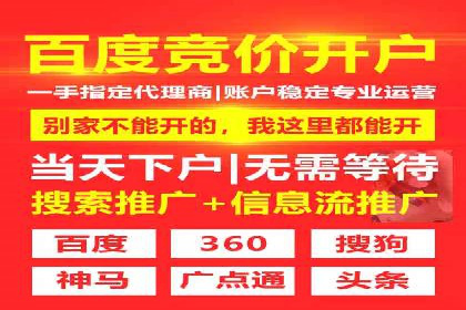 百度推广竞价全解析：某电商平台的营销策略